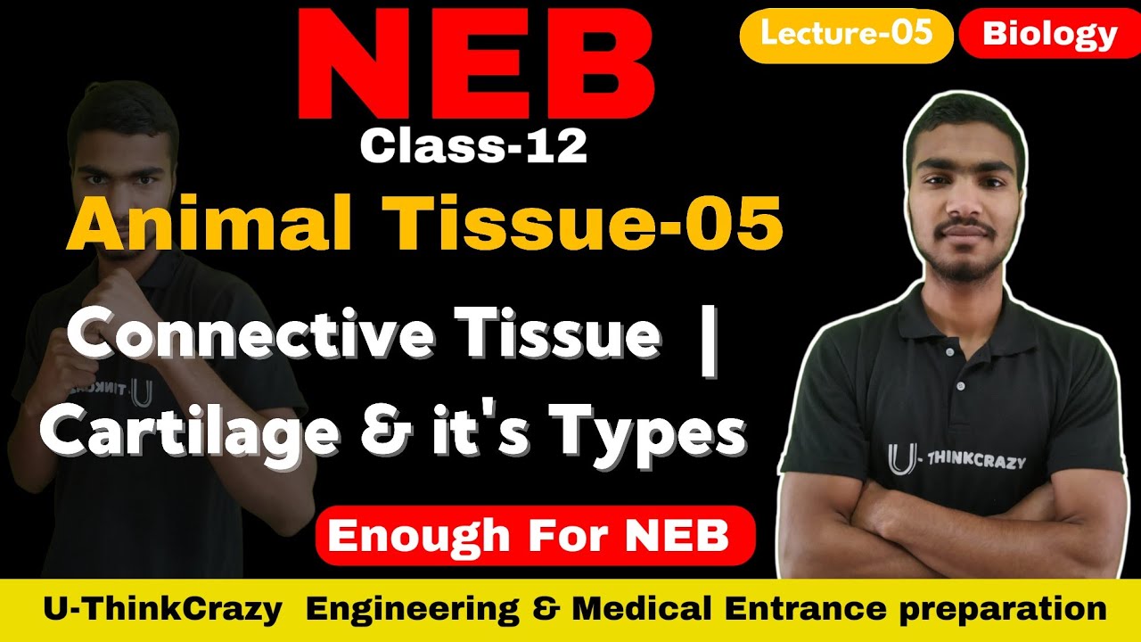 Class-12 NEB | Animal Tissue-05 | Connective Tissue  | Cartilage & it's Types | NEB U-ThinkCrazy