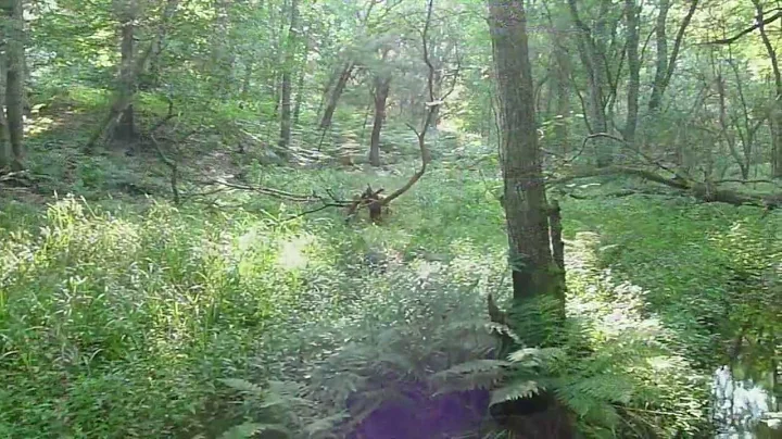 Does Boiling Always Make Water Safe To Drink?