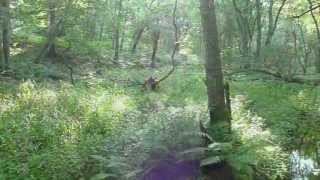 Does Boiling Always Make Water Safe To Drink?