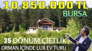 Ormanın içinde 10.850.000 TL&#39;lik Lüks Çiftlik Ev Turu I 35.000m2 ,2 Yarış Atı ,Loft Salon