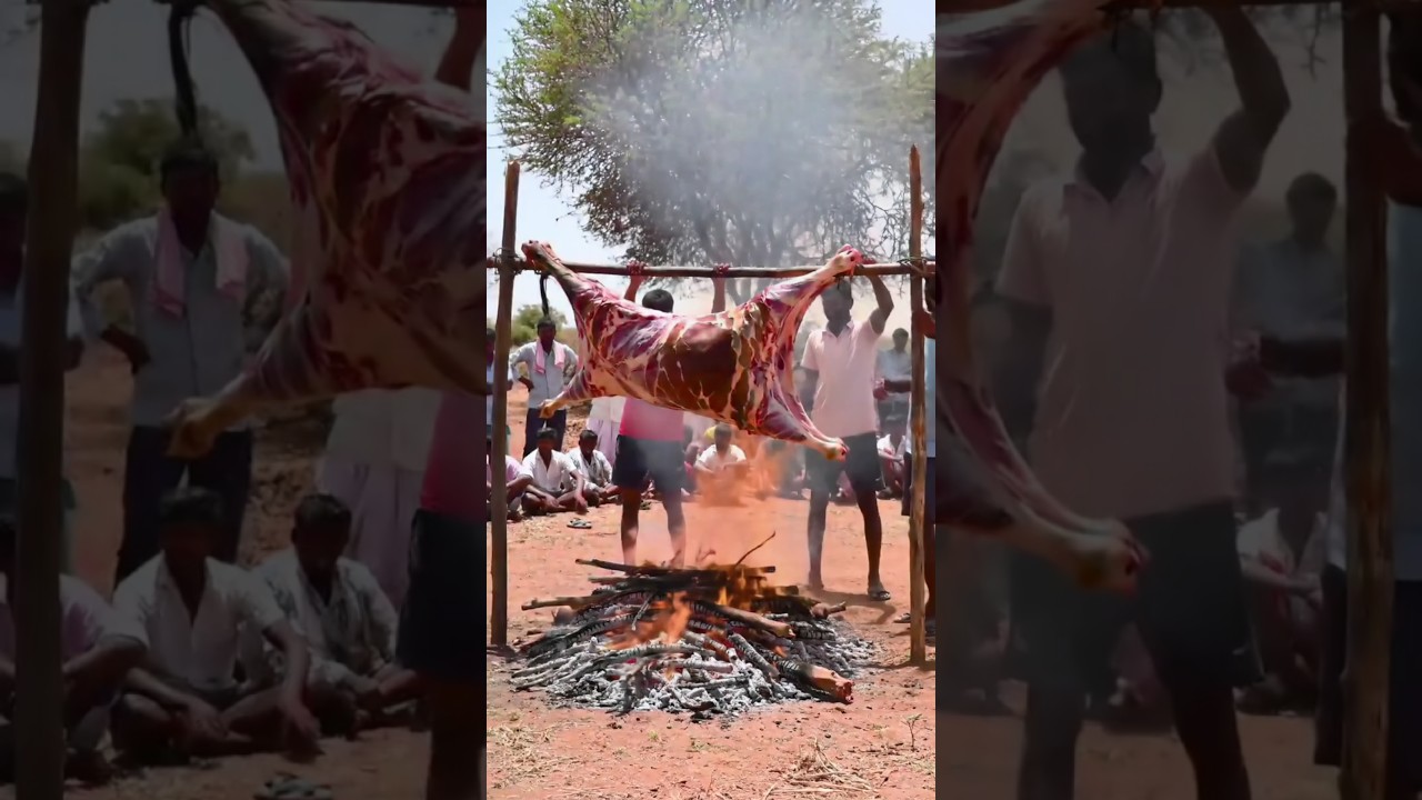 A festive atmosphere for slaughtering cows in the Bogadia tribe 