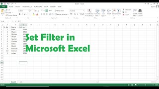 how to set filter in microsoft office 2013