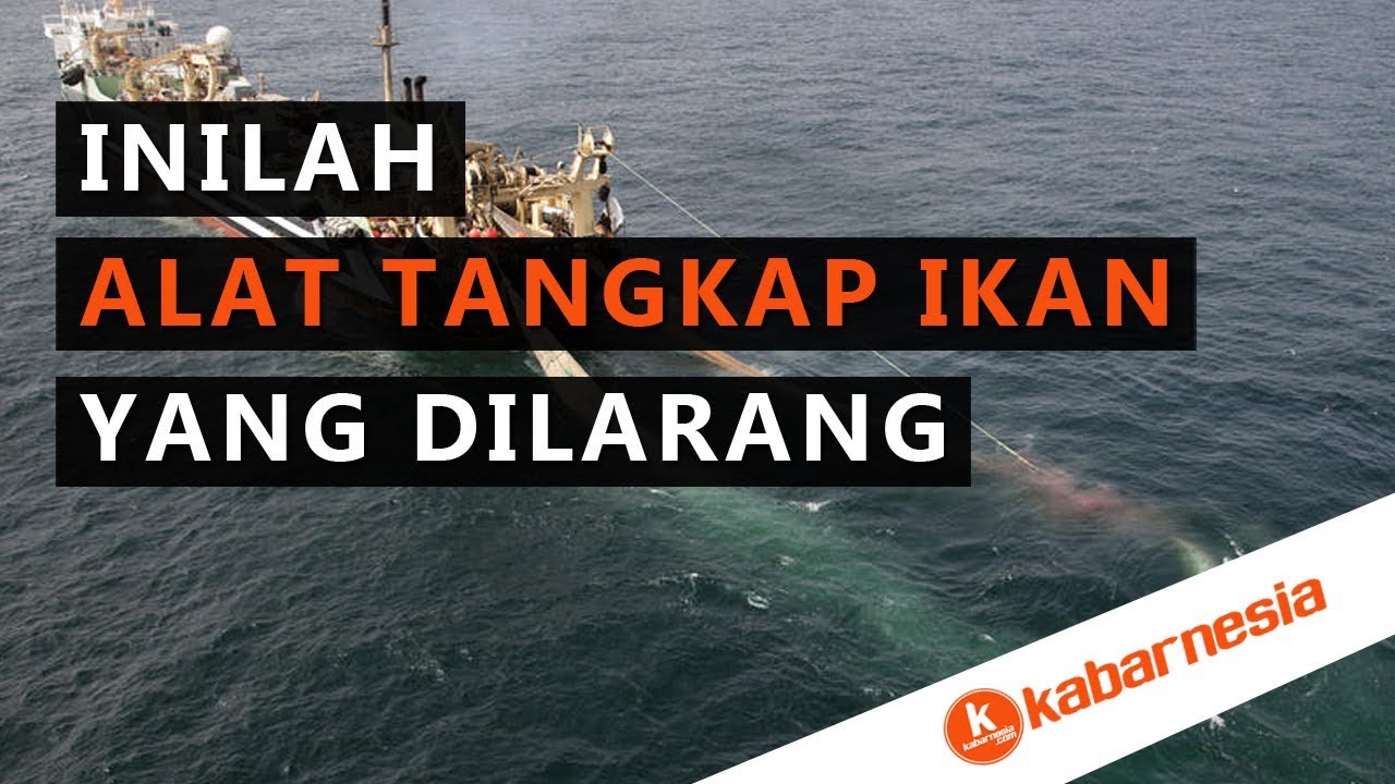 Jenis Alat Tangkap Ikan Yang Dilarang