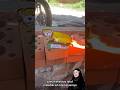 Beli petasan anjing ❗❗#youtubeshorts #funnyvideo #viralvideo