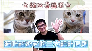 貓奴看過來~貓咪寵物宅的三大設計原則 [春雨設計-周建志設計師]【室內設計】