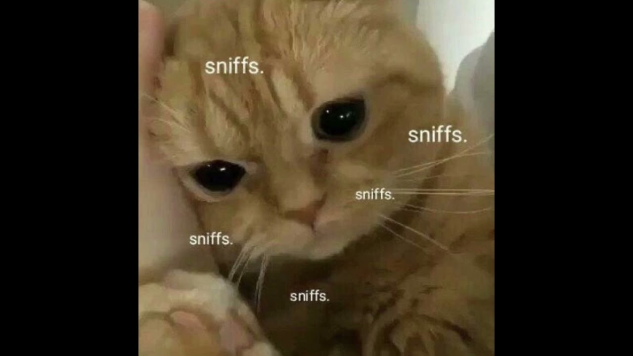 Stars Will Fall by Duster although of course it’s sped up (: