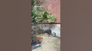 Be the Change in Your World #substack #shorts