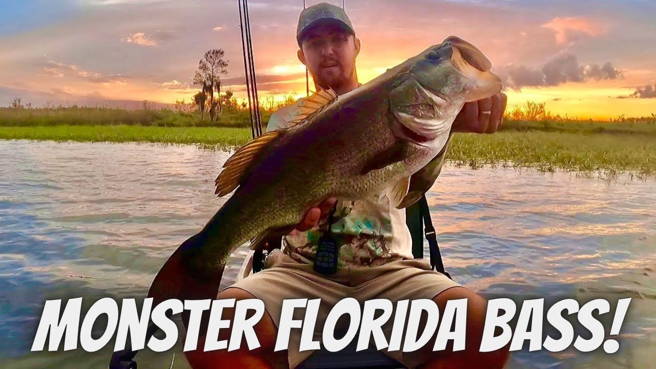 Biggest Florida Bass of 2025!