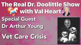 Vet Care Crisis - Dr Arthur Young on The Real Dr. Doolittle Show™| Animal Talk | Podcast #50