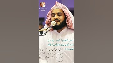Raad Al kurdi Whatsapp status / رعد الكردي حالات واتس اب/ سورة العنكبوت الشيخ رعد بن محمد الكردي