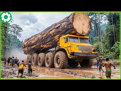 Extremely Dangerous Monster Truck Driving Skills | Biggest Heavy Machinery Machines - The Engine
