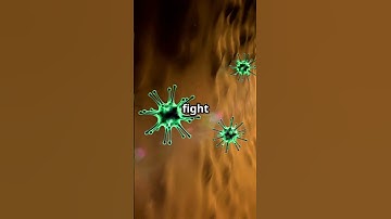 blood cells microscopic exploration