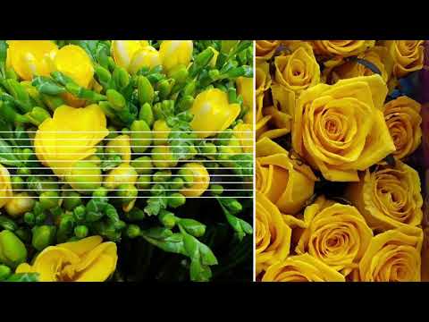 아름다운 자연  beautiful nature