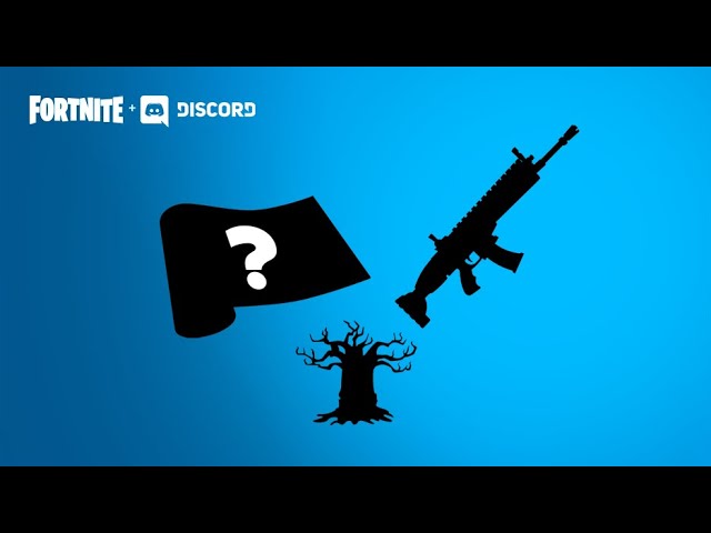 Discord Bundle Fortnite - DFG