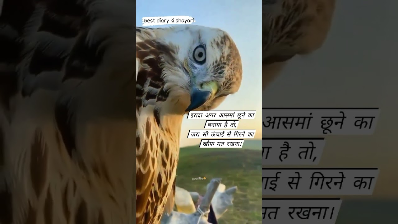 Motivational quotes! Motivational attitude shayari status! Punjabi song! Sidhu moose wala! #shorts ?