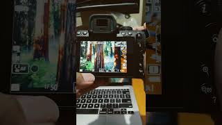 Part 2 of I Love My Camera - Nikon z50 mark ii #nikonz50markii