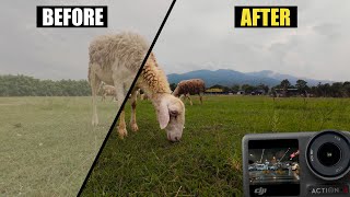 Color Grading DJI Osmo Action 4 DLog M (Free LUT)