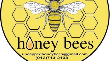 Fixing A Laying Worker Hive