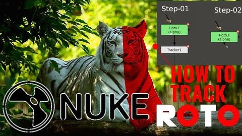 How to Track and Roto using Basic Fundamentals Nuke X