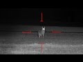 Coyote Hunting at Night - Dirt Naps 6