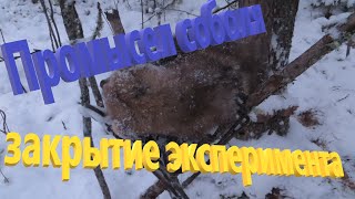 :    ,   .     .   .