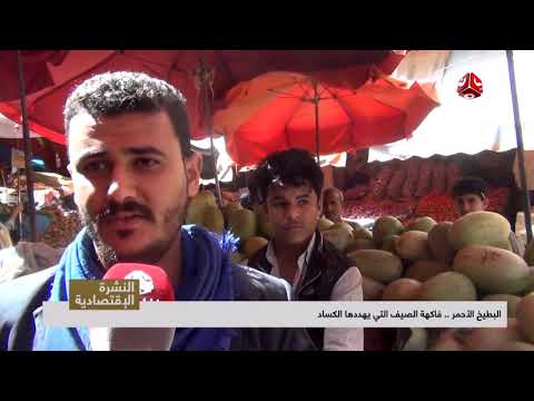 البطيخ الأحمر فاكهة الصيف التي يهددها الكساد تقرير يمن شباب