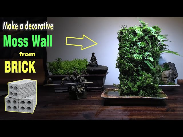 Easy to make decorative Moss-wall Out of Brick 