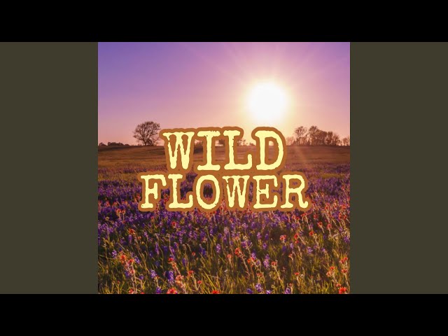 WILDFLOWER