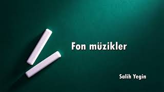 Salih yegin fon müzikler.(Gitme turnam ) Resimi