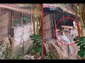 Impresionante video del colapso de un muro en Ilforno de El Poblado, en Medellín