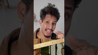 Domine o braço do baixo!#auladebaixo #musica #aulamusical #baixoiniciante #bassguitar