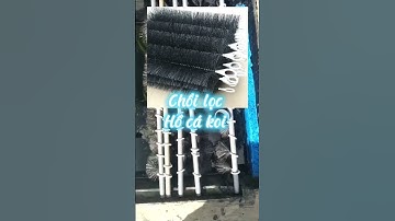 Cách lắp chổi lọc cho hồ cá koi #hocakoi #Shorts