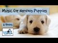 2 Hours of Calming Music for Nervous Puppies! Soothing Music for Your Puppy!