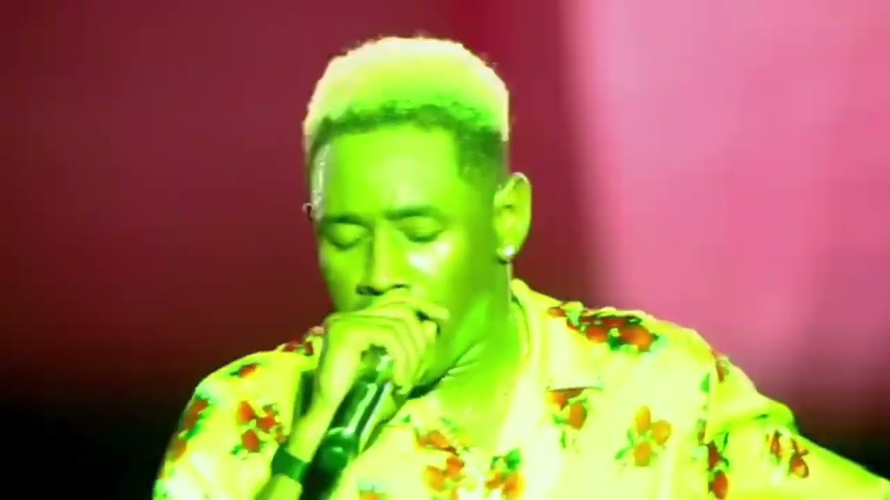 Tyler The Creator - What's Good (live)