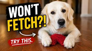 Dog Won’t Play Fetch? Try This.