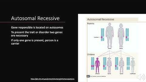 GN Mini Video Module 1