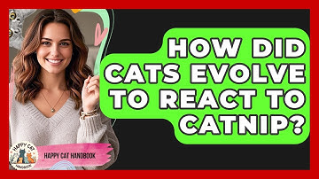 How Did Cats Evolve To React To Catnip? - Happy Cat Handbook