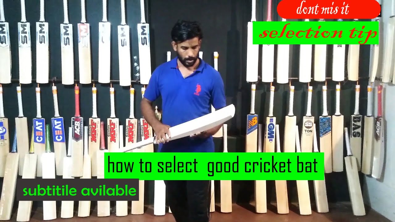 how to select cricket bat YouTube