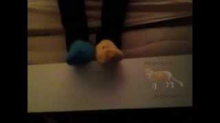 Jennys Toe Wiggling In Mismatched Socks 01