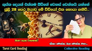 ජූලි 28 පෙර ඔයාව මේ වීඩියෝ එක හොයා ගනීවි. This video will find you before July 28th. — Tarot Reading