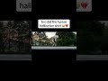 twitch itsbhaze #basketball #streamer #irl #fyp #smallstreamer #clip #viral #twitchstreamer #blowup