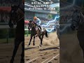 8/8（土）札幌11R　エルムステークス　帯赤馬情報