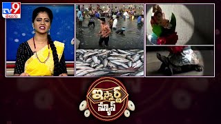 iSmart News : Heavy Flow of Fish in Sundilla Barrage | తాబేలు ఎక్కిన వినాయకుడు - TV9