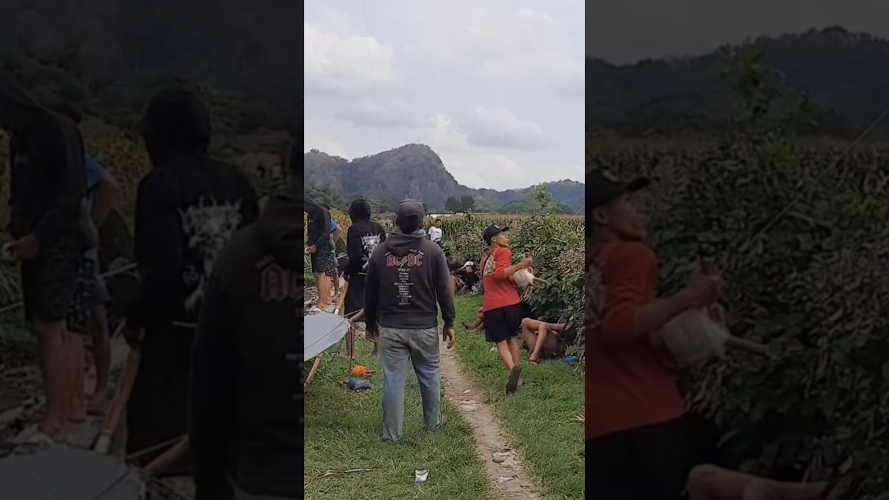 Layangan Ram Raman Sendaren Nrotok Penerbangan Tim Kaliandong 