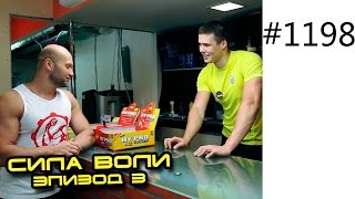 Сила Воли Шоу – Испытание голодающего вкусной едой. Эпизод 3 Сила Воли Шоу – Испытание голодающего вкусной едой. Эпизод 3