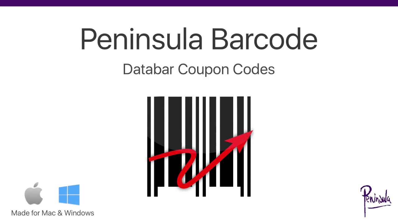 Create Databar Coupon Codes in Using Barcode on Mac or Windows YouTube