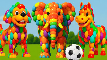 The mascot vibrato assistant dog placed on the football field is popular co- produced, creative 21