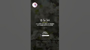 Surah Waqiah (سورة الواقعة) ✦ Ayah 19-26 ✦ Quran FM