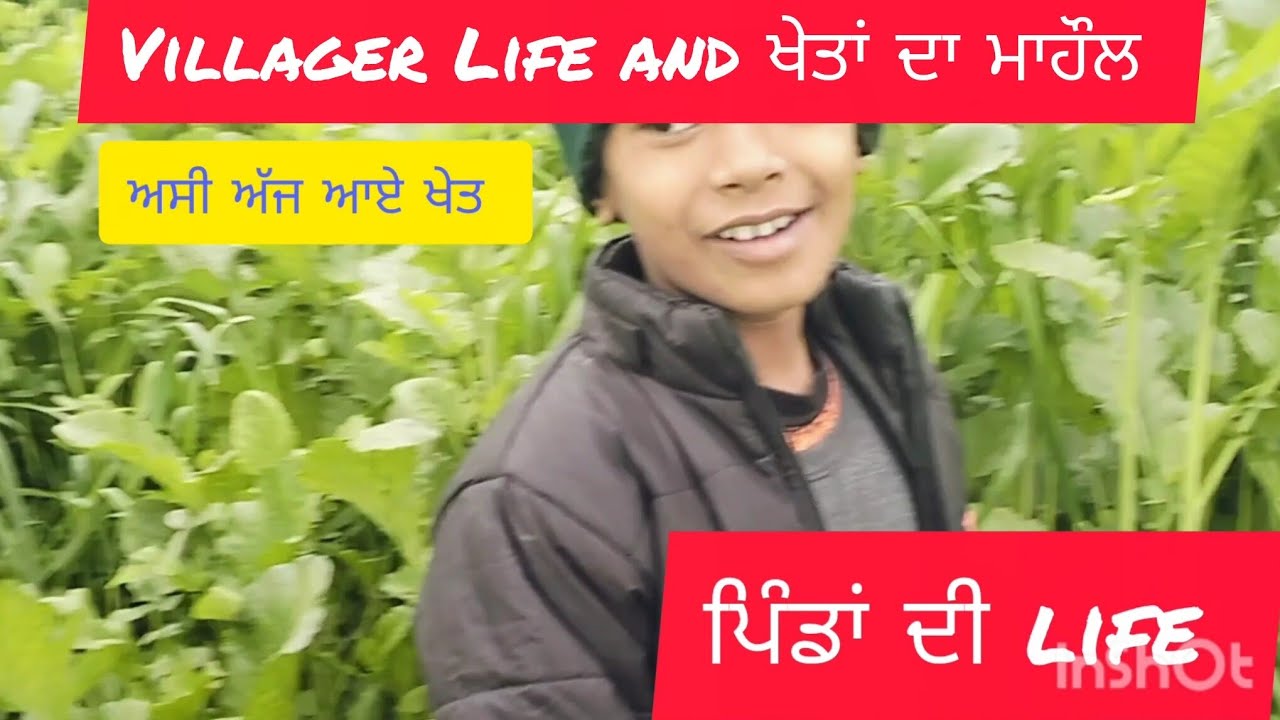 Villager Life 🧬 and ।। ਖੇਤਾਂ ਦਾ ਮਾਹੌਲ।।। ਪਿੰਡਾਂ ਦੀ ਅਸਲੀ life 🧬🧬