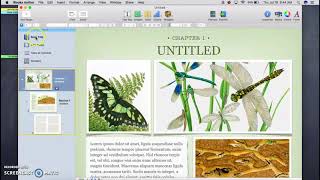 How to use iBooks Author